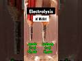 Electrolysis of Water Working Model #shorts #experiment