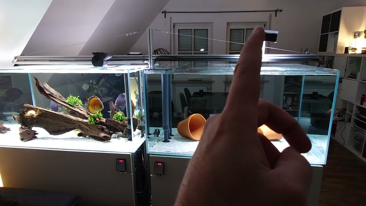 AI Prime freshwater 16HD spot LED compared to AquaGrow UniQ FS 1200