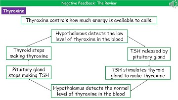 OCR Gateway - B3.2.2 - Negative Feedback