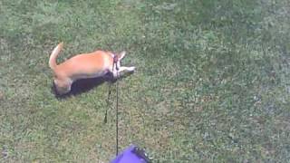 penny reh on her way