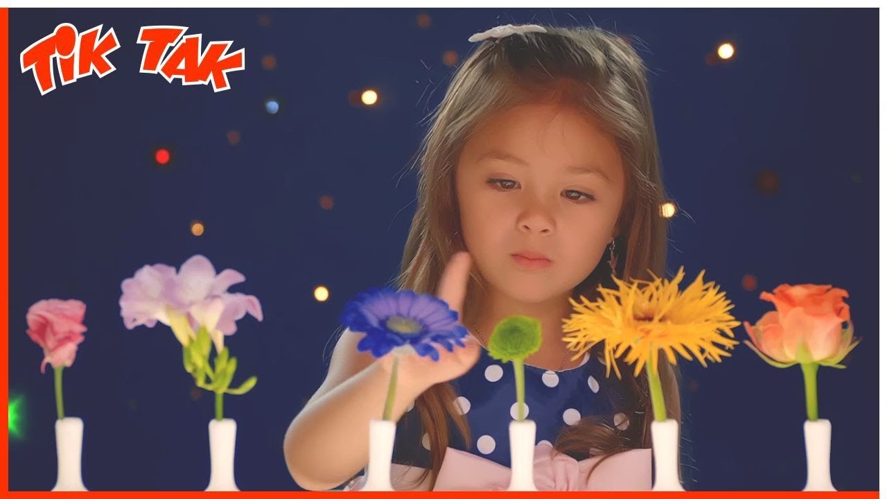 Tik Tak | 25' Compilation | Education for babies