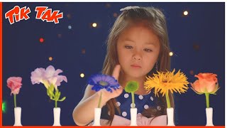 Tik Tak  25 Compilation  Education For Babies
