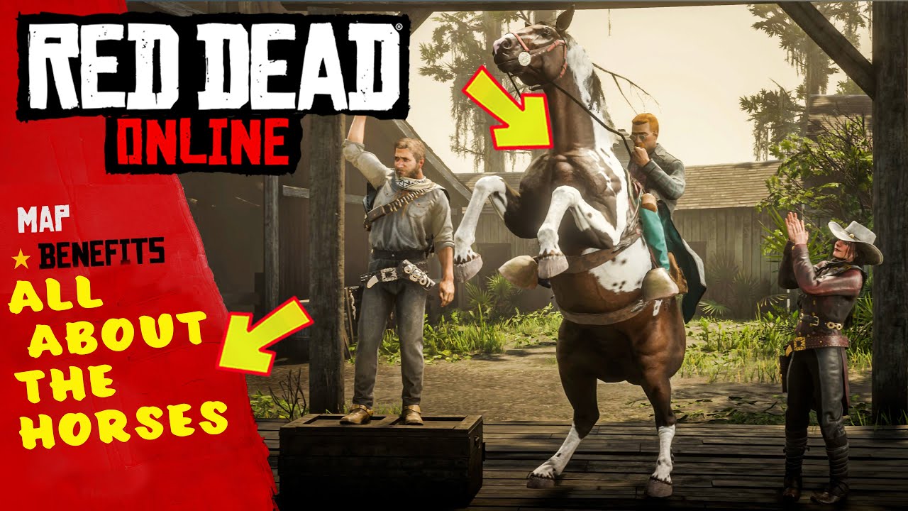 Horse Insurance Rdr2 Red Dead Online Horses Kladruber Horse Insurance Rdr2 Red Dead Online Horses Kladruber