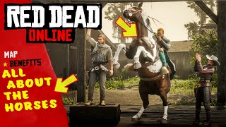 ITS ALL ABOUT HORSES FOR THIS WEEKS BONUSES IN RED DEAD ONLINE