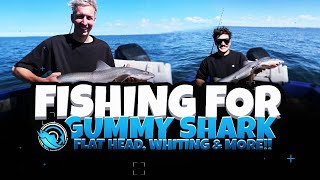 Fishing for Gummy Shark, Flat Head, Whiting & More! (EP 01)