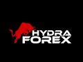 Website-ul Oficial Forex in Moldova - YouTube