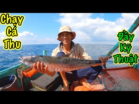 Video Trải Nghiệm Nghề Chạy Cá 