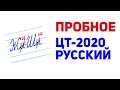 РУССКИЙ ЯЗЫК / ПРОБНОЕ ЦТ-2020