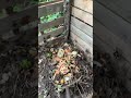 Everyday #garden