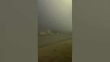(سورة آل عمران) آية رقم ٥-٦ || عبدالرحمن مسعد🤍🌿.