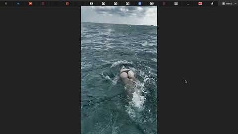 TIKTOK DOWNLOAD WITHOUT WATERMARK API DEMO