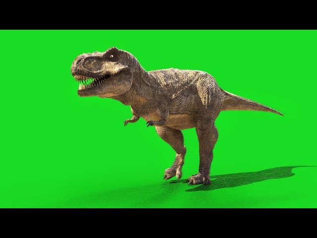 Angry T-Rex dinosaur runs in a looping s, Stock Video