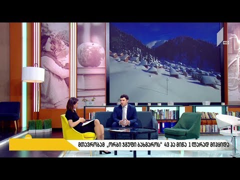მთავრობამ „ორბი ჯგუფი ბახმაროს“ 4,3 ჰექტარი მიწა 1 ლარად მიჰყიდა