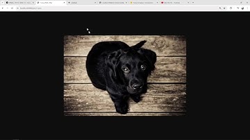 25 09 28, 스프링부트 기초, 파일업로드, 소셜로그인, 13강, 프로필 페이지 꾸미기