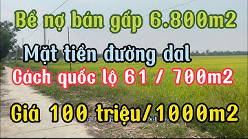 Bể nợ bán gấp 6.800m2 đất ruộng mặt tiền đường dal giá ngộp 100 triệu/1000m2 Gò quao kiên Giang