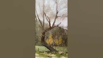 Painting a Weeping Willow
