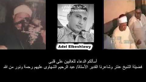 الشيخ عنتر سعيد مسلم سورة العنكبوت والروم
