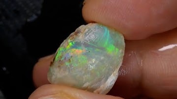 12.90 cts Australian Opal Rough, Lightning Ridge Shell Fossil Gem