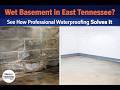 Wet Basement in East Tennessee? See How Professional Waterproofing Solves It