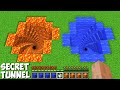 Which SUPER WEIRD TUNNEL TO CHOOSE LAVA VS WATER in Minecraft ? NEW CURSED PASSAGE !