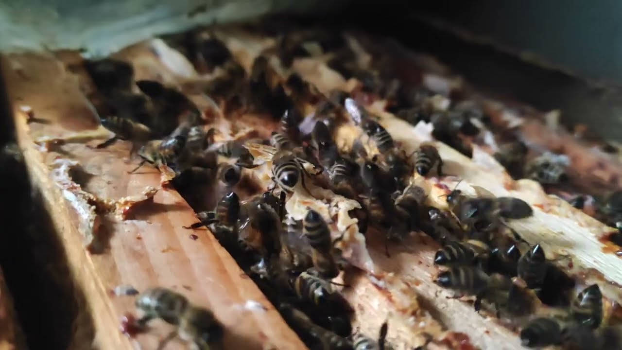 A scazut mult consumul.Azi 31 Ian.inf.consum. 38,4gr/zi/ mediu/familie. de la 52,7 la 38,4 g/zi