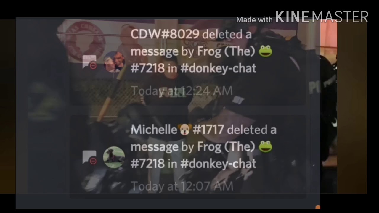 Colorado Donkey Watch - The Hypocrite.