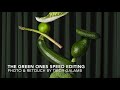 Choreography of things  the green ones normal speed editing by tibor galamb