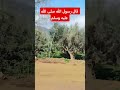 اللهم صل وسلم وبارك على سيدنا محمد Shorts Shortvideo Trending Explore شورت ستوريات احاديث