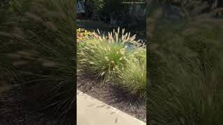 Inside Akron - A unique look into Jewett Park in Middlebury