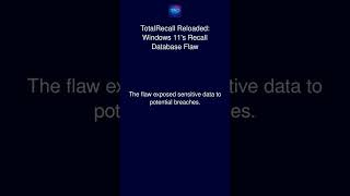 TotalRecall Reloaded: Windows 11's Recall Database Flaw