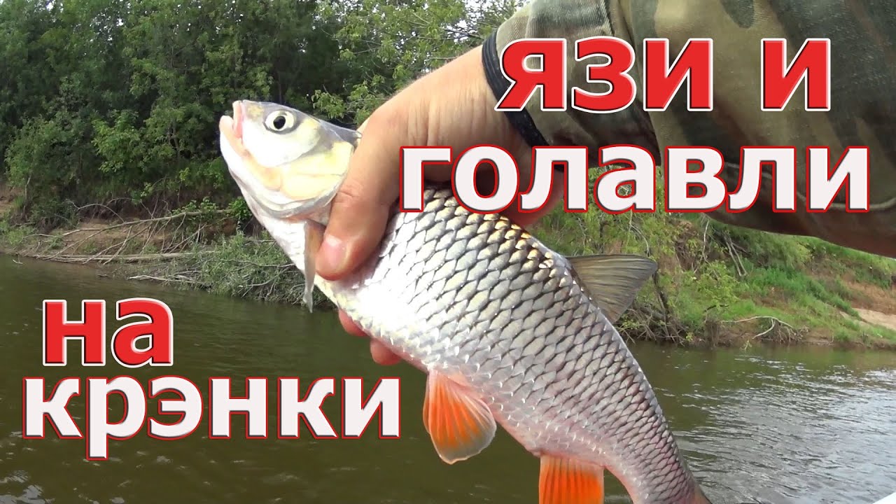 Алексей Шанин Новое Видео 2022 Года Алексей Шанин Новое Видео 2022 Года