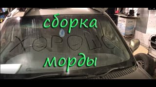 Сборка морды