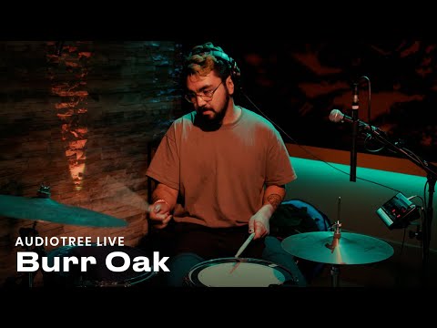 Burr Oak - Trying | Audiotree Live