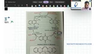 BIOLOGY QUESTION SOLVED | NEET | NCERT | INDIAEXCITE MCQ APPLICATION screenshot 1
