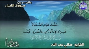 جديد المجد || ما تيسر من سورة " النحل " || القارئ : هاني عبدالله || من مختارات المجد HD