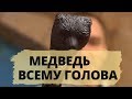 Классическая трость | Медведь