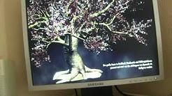 eBay-Verkauf PC Test: Skyrim Nvidia GeForce 9600GT + E9600 2,93GHZ x 2 ...
