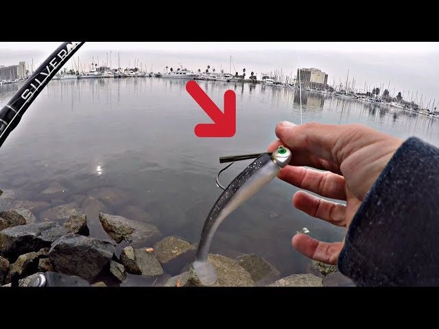 Fishing the Warbaits weedless swimbait head 