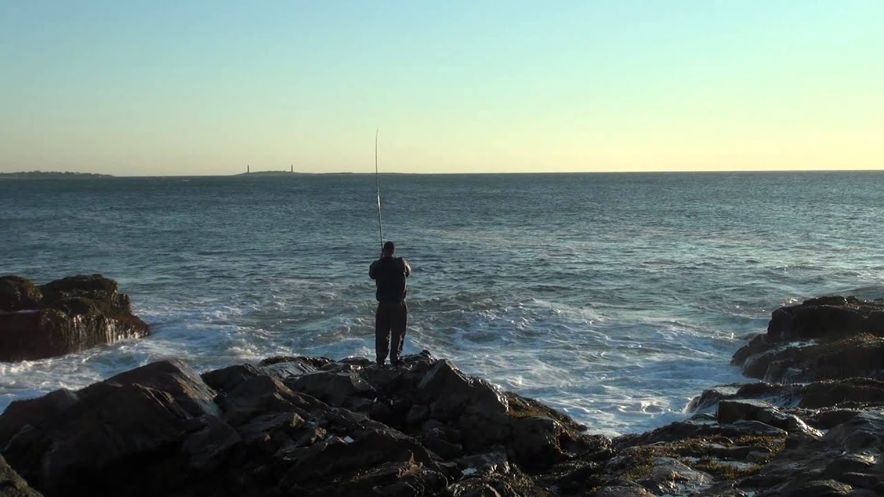 Gloucester MA 10/15/11 Rare Blue fish fishing in the not so fall run 0