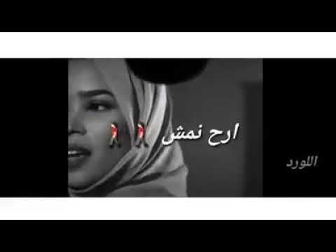 بخيرك لو فيك قدرة ارح نمش