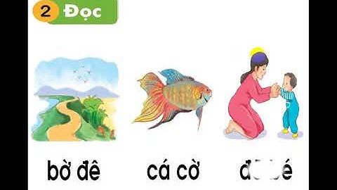 Tiếng việt 1 (Bộ sách kết nối tri thức với cuộc sống): Bài 9: Âm ơ, thanh ngã
