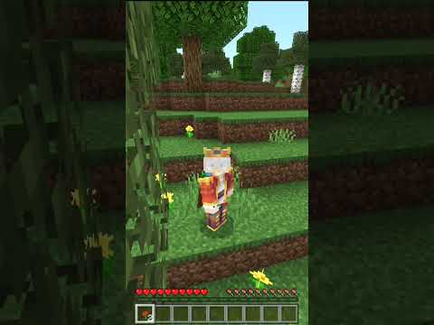 Minecraft, Pero Debo Encontrar Rojo #Shorts