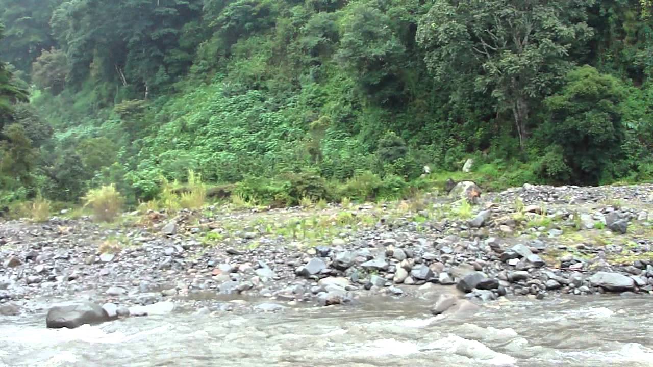 Chiriqui river at Paso Ancho --- Panama - YouTube