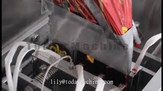 Multi Lane Automatic Sauce Packing Packaging Machine