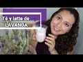 LATTE Y TÉ DE LAVANDA. Cómo preparar una infusión de lavanda fácilmente y paso a paso