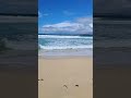 Lewis (Ecosse) - mi mai