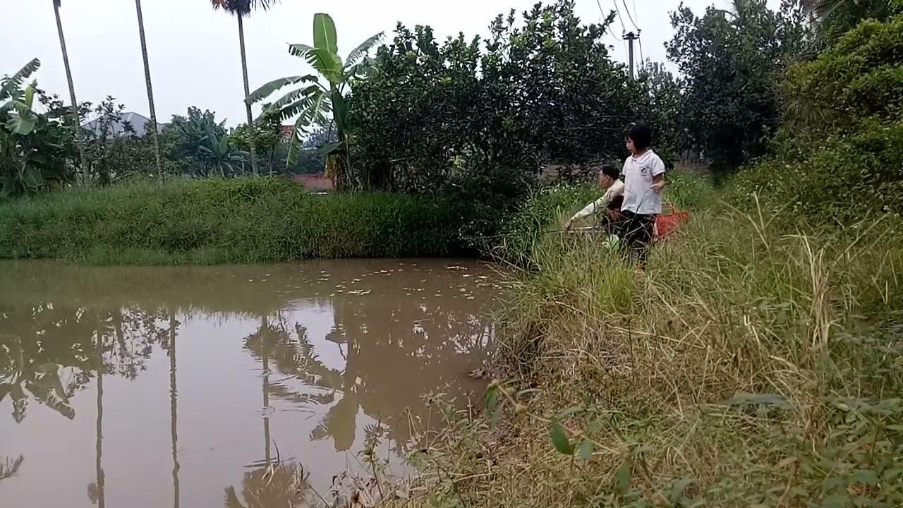 Ông cháu đi câu ???? - youtube