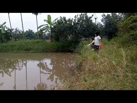 Video Ông cháu đi câu ???? - youtube