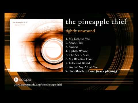 The Pineapple Thief - Too Much to Lose (from Tightly Unwound)