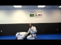 Brazilian Jiu-Jitsu turtle choke